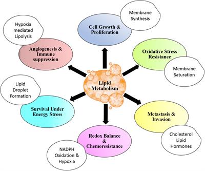 Orchestral role of lipid metabolic reprogramming in T-cell malignancy